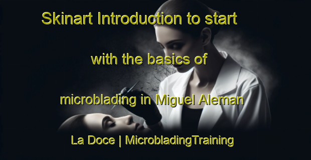 Skinart Introduction to start with the basics of microblading in Miguel Aleman  La Doce | MicrobladingTraining | MicrobladingClasses | SkinartTraining-Mexico
